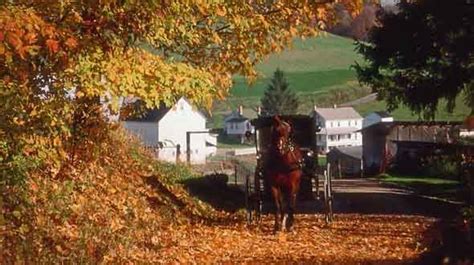 Amish Country Fall Leaf Tours In The American Countryside A