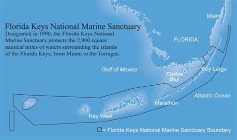 Sanctuaries At Sea The Florida Keys National Marine Sanctuary Scuba