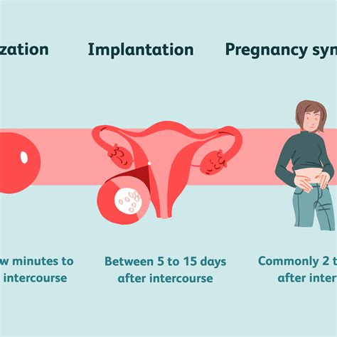 How Long Does Conception And Implantation Take Pregnancy Test