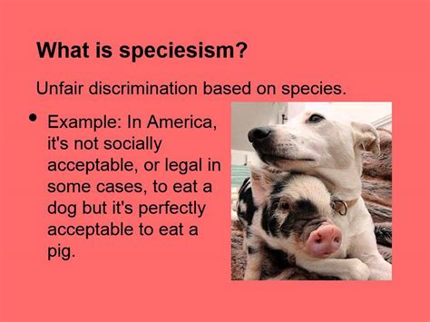 Speciesism Youtube