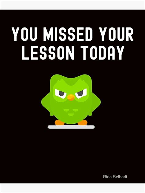 You Missed Your Lesson Today Duolingo Memes Poster By Redabomx Redbubble