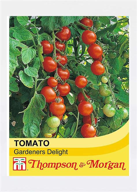 Tomato Gardeners Delight Seeds Dobbies Garden Centres