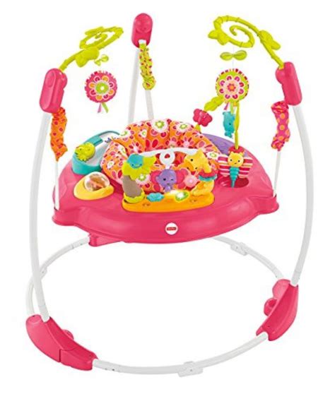 Fisher Price Pink Petals Jumperoo Best Baby Bouncer Review Fisher