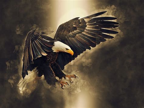 American Bald Eagle Let Freedom Soar Painting By Elaine Plesser Pixels