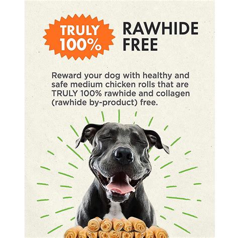 Canine Naturals Hide Free Beef Recipe Sticks Dog Chew Treats 10 Count