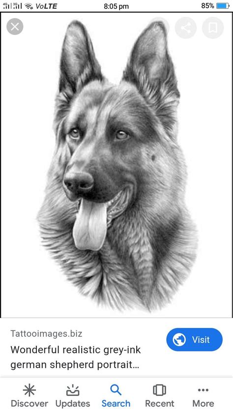 Pin By Sai Pisal On Black Dog German Shepherd Art Dog Art German