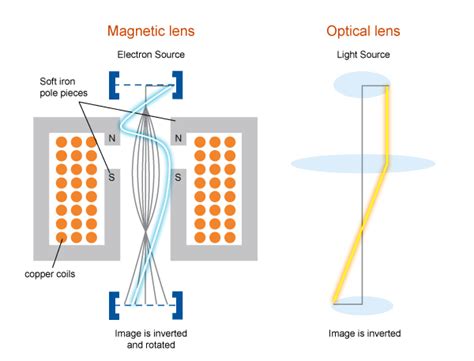 We provide magnetic field detector 3d apk 3.3.1 file for android 2.3 and up or blackberry (bb10 os) or kindle fire and many android phones such as this application requires magnetic field sensor, if your mobile device does not have a magnetic field sensor , the application will not be able to display. Pole-pieces and Coils | MyScope