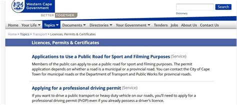 Za Professional Driving Permit Applications