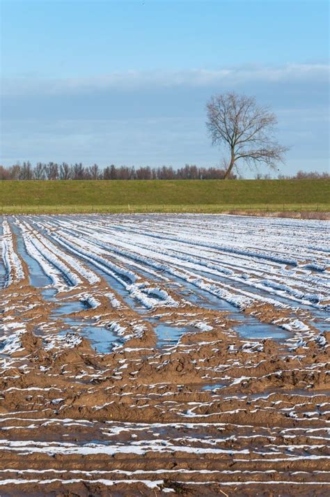 Snowy Plowed Field Stock Photo Image Of Dirt Blue Country 28201442
