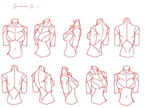 female bust torso manga figure drawing reference anatomy tutorial body reference drawing