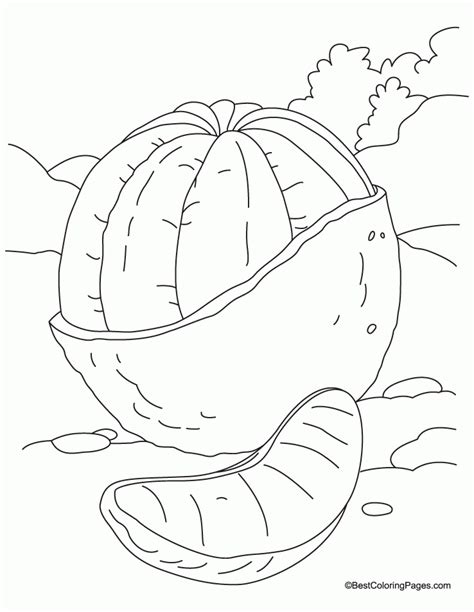 Orange Coloring Pages Coloring Home