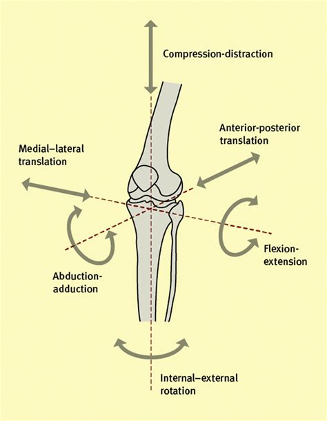 Iii Biomechanics Of The Knee And Tkr Orthopaedics And Trauma