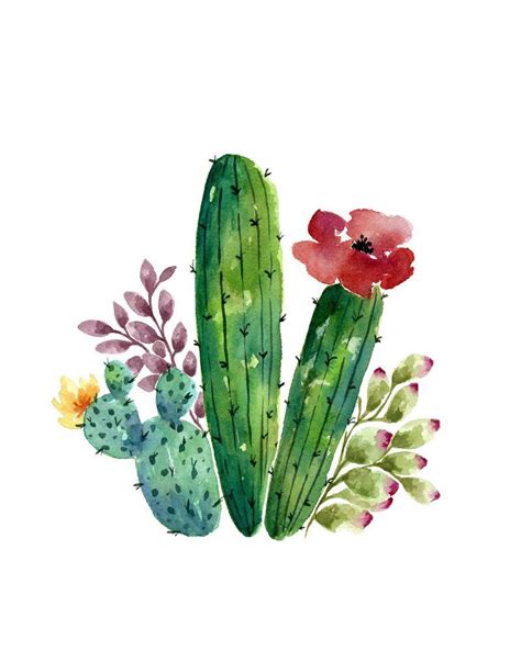 Out of all the easy watercolor painting ideas for beginners, we have here, this one is certainly the most loved one. Cactus bunch | Pintura de cactus, Fondos de cactus, Arte ...