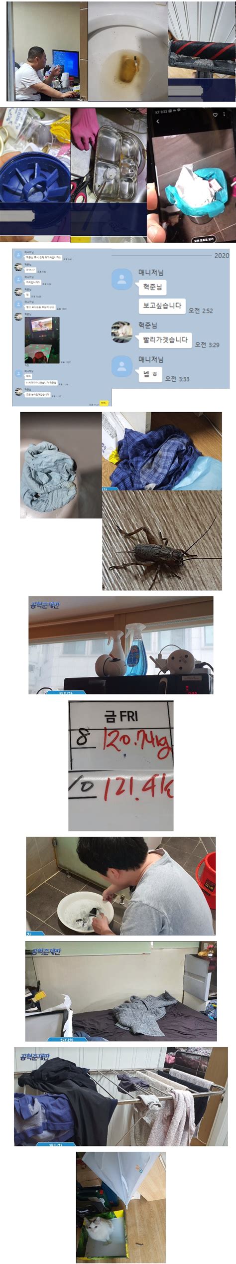 8 ooolllleee 8 19 4분전. 포모스 약혐)김계란이 빡쳐서 공개한 공혁준 집 꼬라지