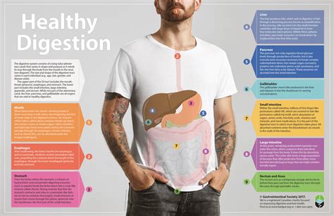 Click To View A Full Size Pdf Of This Infograph To Learn About Healthy