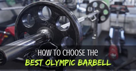 The 7 Best Olympic Barbells Under 300 2019 Reviews
