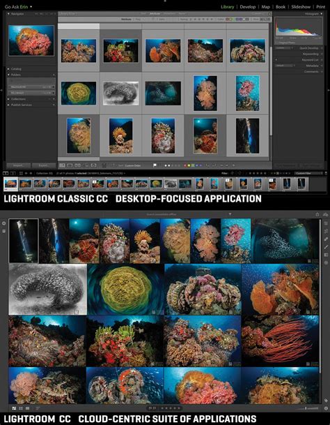 Adobe Lightroom Classic Vs Lightroom Cc Comparison Scuba Diving