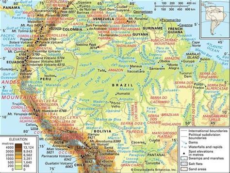 Amazon River Facts History Animals And Map