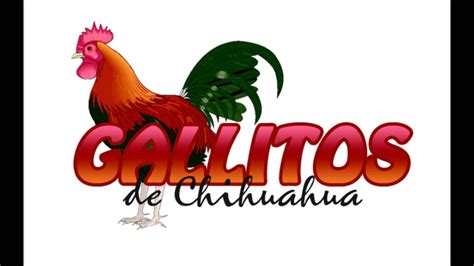 Los Gallitos De Chihuahua2014 Youtube