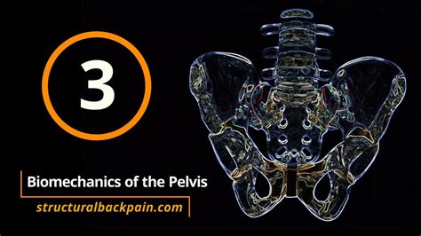 3 Biomechanics Of The Pelvis Youtube