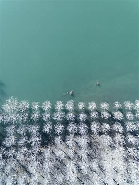 Aerial View Of The Lake At Winter By Stocksy Contributor Javier