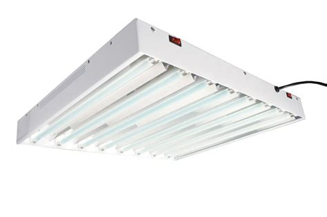 Some of these options include: Hydrofarm T5 Tube Commercial Grow Light System | eBay
