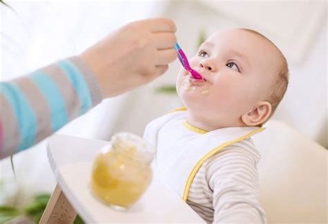Organic Baby Food And Supplements