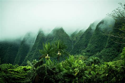 Tropical Scenery Kaneohe Oahu Hawaii Photograph By Alexandra Simone