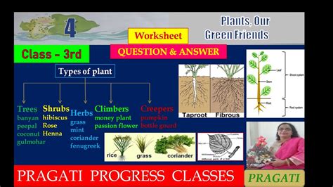 Plants Our Green Friends Uses Of Plants Evs Class 3rd Ch 4th
