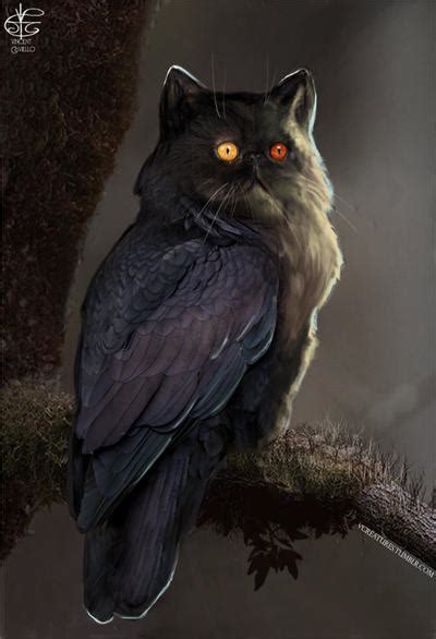 Owl Cat By Vincent Covielloart On Deviantart