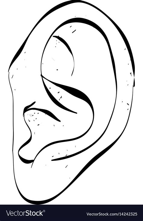 Cartoon Image Of Human Ear Royalty Free Vector Image