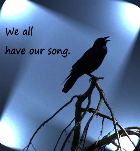 We All Have Our Song Living With A Hopeful Heart