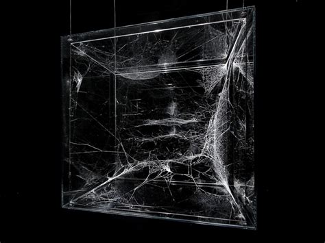 Cosmic Webs Eerie Art Spider Art Cosmic Web