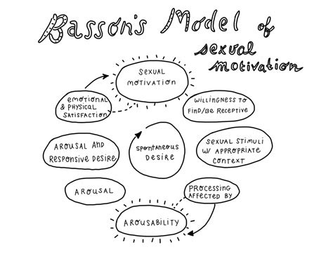 What Bassons Sexual Response Cycle Teaches Us About Sexuality Lifeworks Psychotherapy