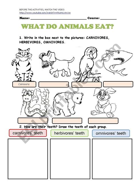 What Do Animals Eat Esl Worksheet By Cristina84 Esl Lesson Plans