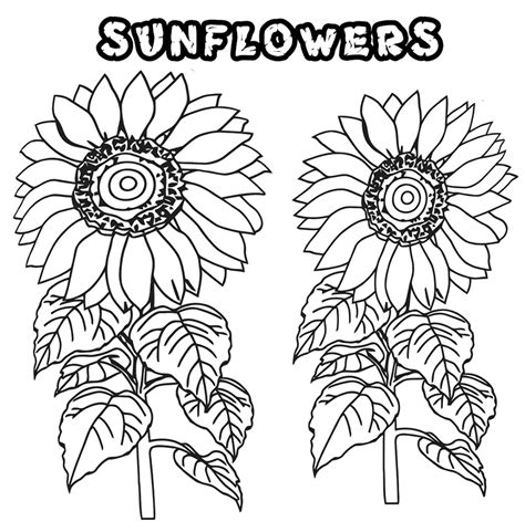 Printable calendars, worksheets, cards, games, invitations, & puzzles free & easy to use! Sunflower Coloring Page | Sunflower coloring pages, Printable flower coloring pages, Coloring pages