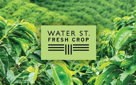 Water Street Coffee Fresh Crop Water Street Coffee