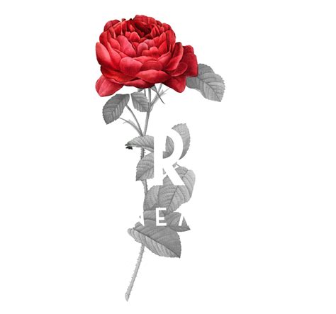 Red Rose Cinema Wedding Videography