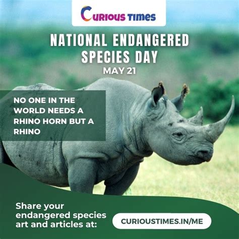 National Endangered Species Day 21 May Curious Times