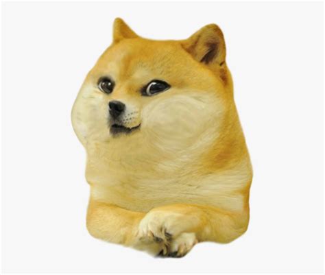 Baby Doge Hd Png Download Is Free Transparent Png Image To Explore