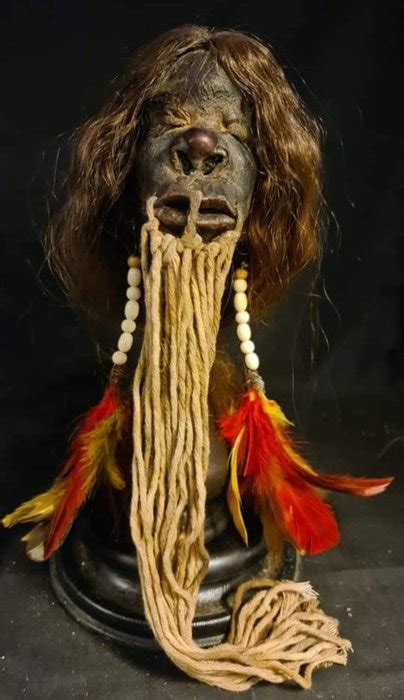 Réplica De Cabeza Reducida Tsantsa Tsantsa Shrunken Head Catawiki