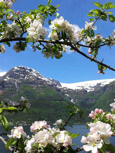 Spring In Norway Beautiful Nature Nature Norway