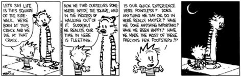 Calvin And Hobbes Philosophy General Chat Foxestalk