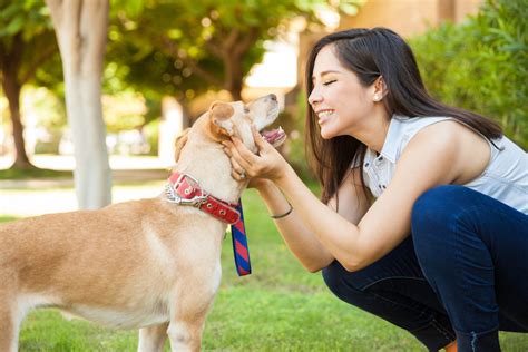 6 Best Jobs For Dog Lovers Make A Living Off Of Loving Canines