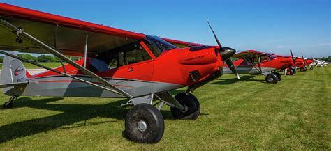 Red Carbon Cub Line Up Photograph By Julie A Murray Fine Art America