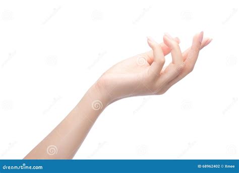 Beautiful Female Hand Holding Something Isolated On White Stock Photo
