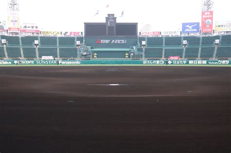287 327 просмотров 287 тыс. 【公式】阪神甲子園球場 on Twitter: "【阪神園芸に密着!】PM6時10 ...