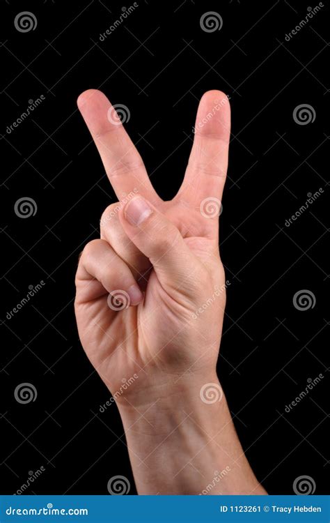 Peace Stock Image Image Of Gesture Triumph Confident 1123261