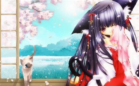 Anime Cat Girl Wallpapers Top Free Anime Cat Girl Backgrounds