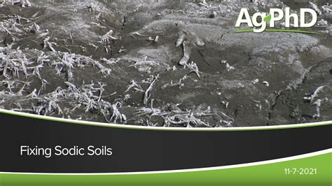 Fixing Sodic Soils 2021 Acrestv